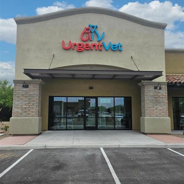 Oro Valley Urgent Vet Clinic | Oro Valley, AZ