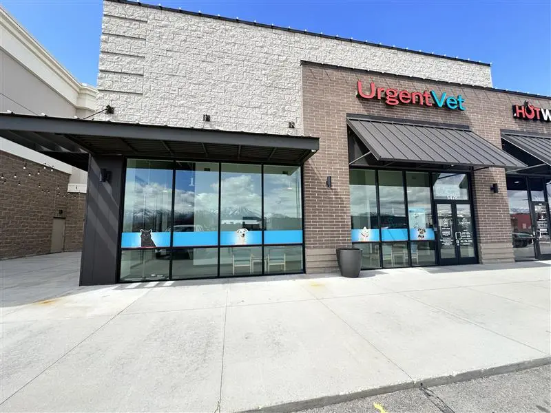 Featured image for post: After-Hours Pet Care Option to Open in Salt Lake City with New Location in Taylorsville