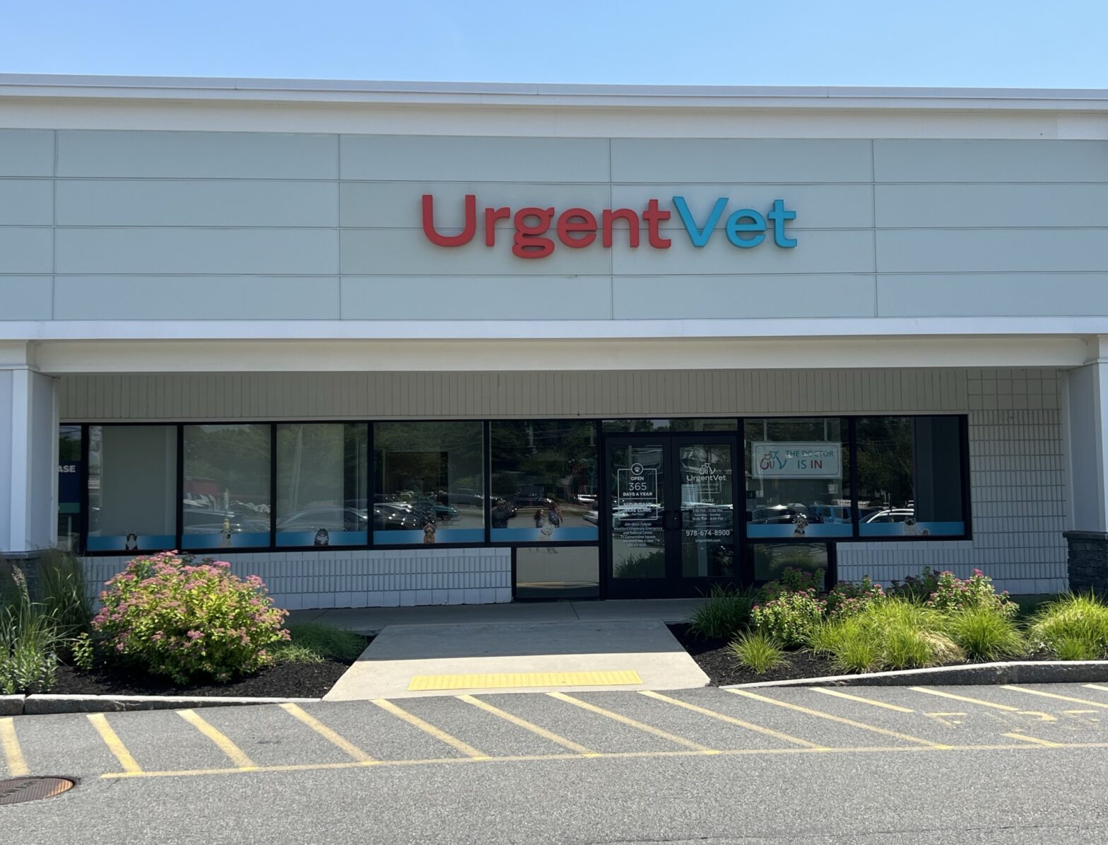 Featured image for post: Westford Urgent Vet Clinic | Westford, MA