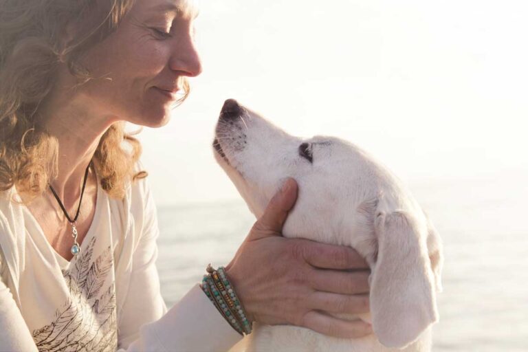 7 steps to a longer life for your pet