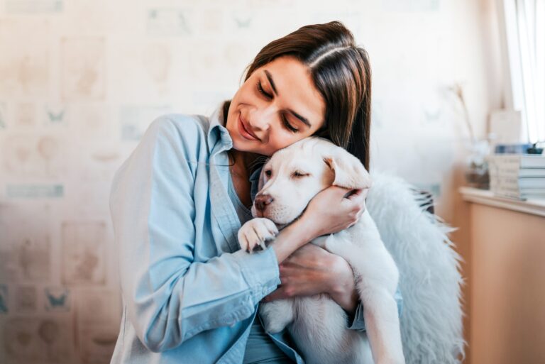 AdobeStock 219028069 scaled 1