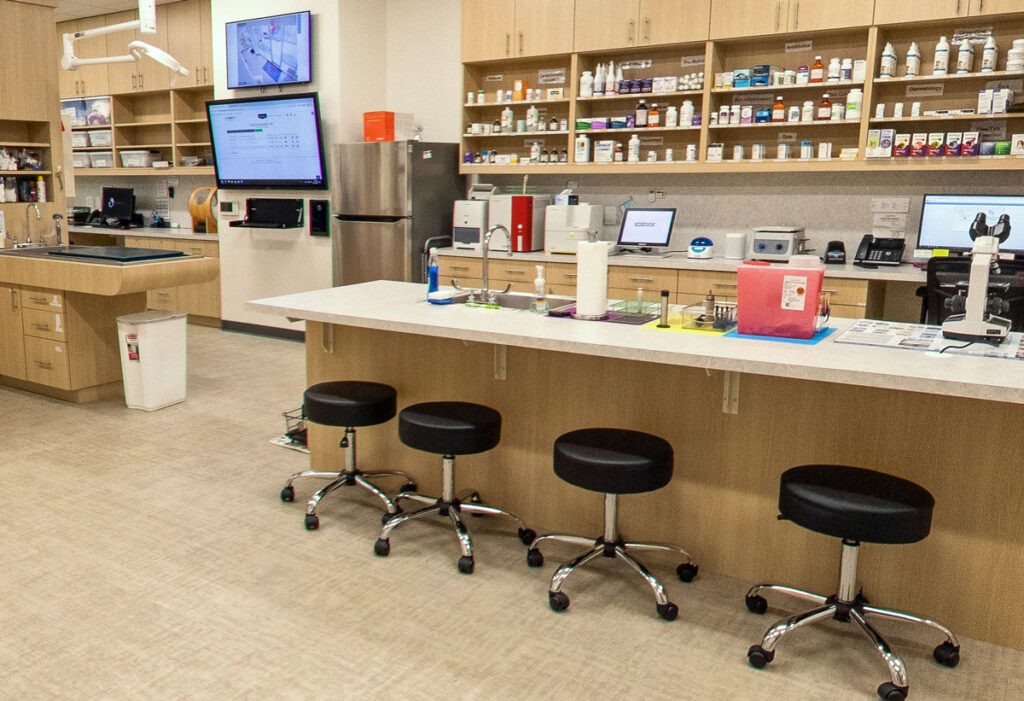 Clinic and Lab 2
