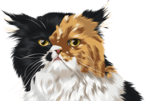 urgentvet pet clinic locations for veterinary urgent care for cats - mobile photo