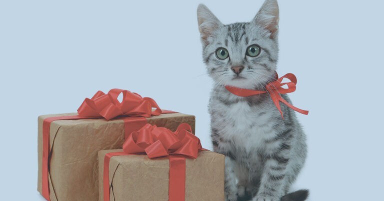 Pet-Gift