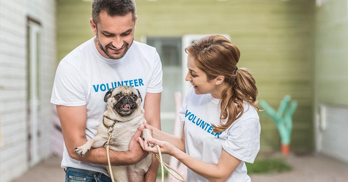 Featured image for post: Volunteering With Your Pet In Belmont and Fort Mill