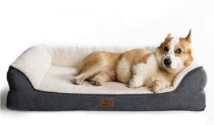 pet bed