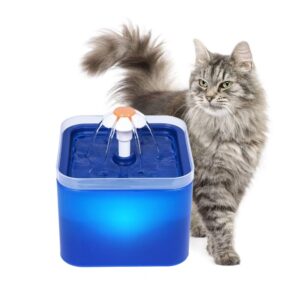 pet drinking fountain