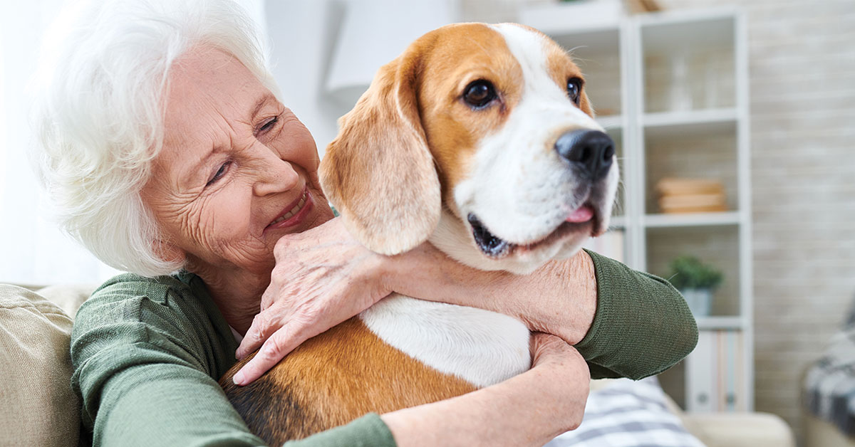 Featured image for post: Is Your Pet In Pain? What To Watch For