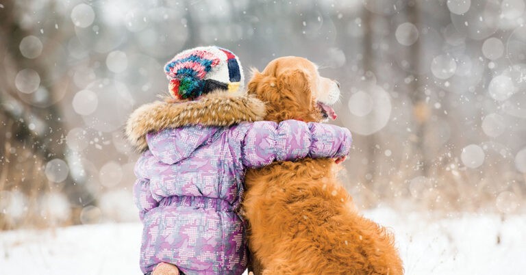 Pets in winter 1