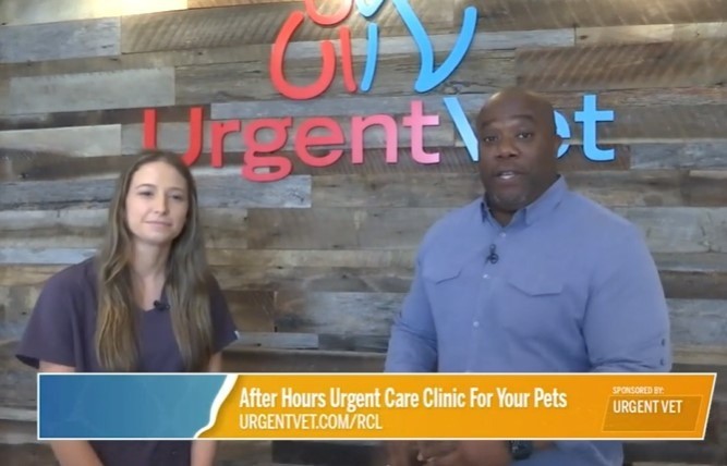 Featured image for post: New4Jax WJXT’s River City Live