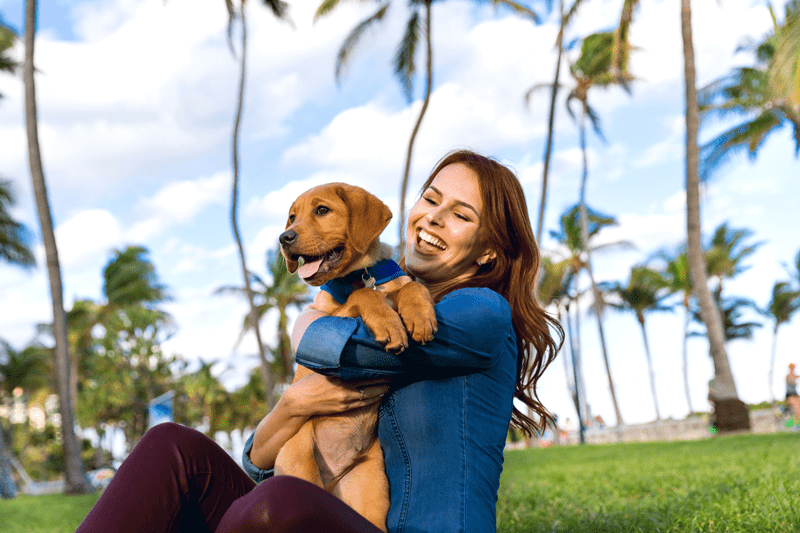 Dog Friendly