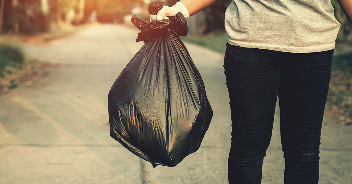 Featured image for post: Keep Your Pet Away From Dangers Inside Your Trash Can