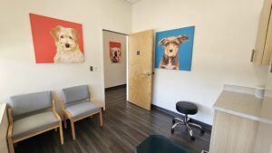 UrgentVet Dog Room scaled 3