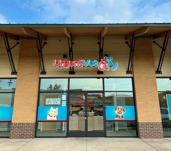 Featured image for post: Urgent care for pets offers afterhours care without the ER price tag