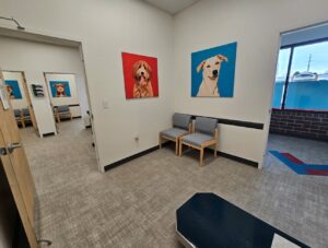 UrgentVet Park Meadows Exam Rooms 1
