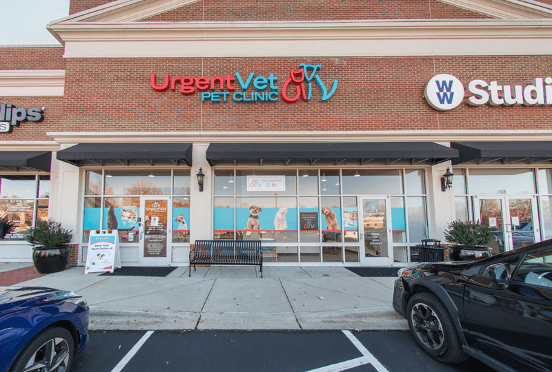 UrgentVet Ballantyne Charlotte - urgent vet pet clinic