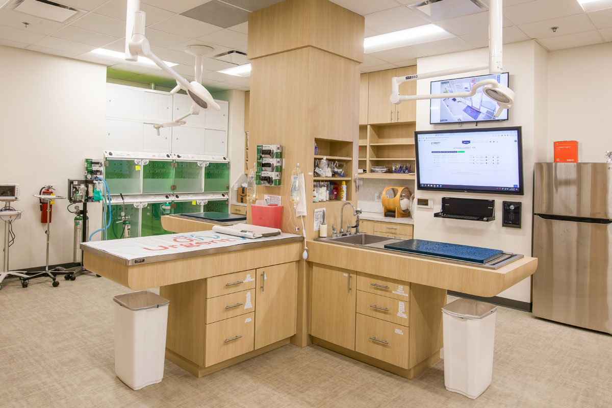Featured image for post: UrgentVet Expands into Southwest Florida with Net Clinic in Naples, FL