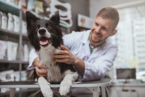 Veterinarian-Visit