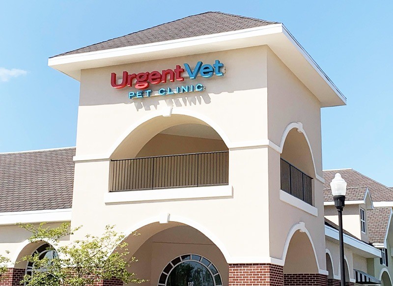 urgentvet westchase vet clinic an alternative emergency vet in westchase fl tampa bay