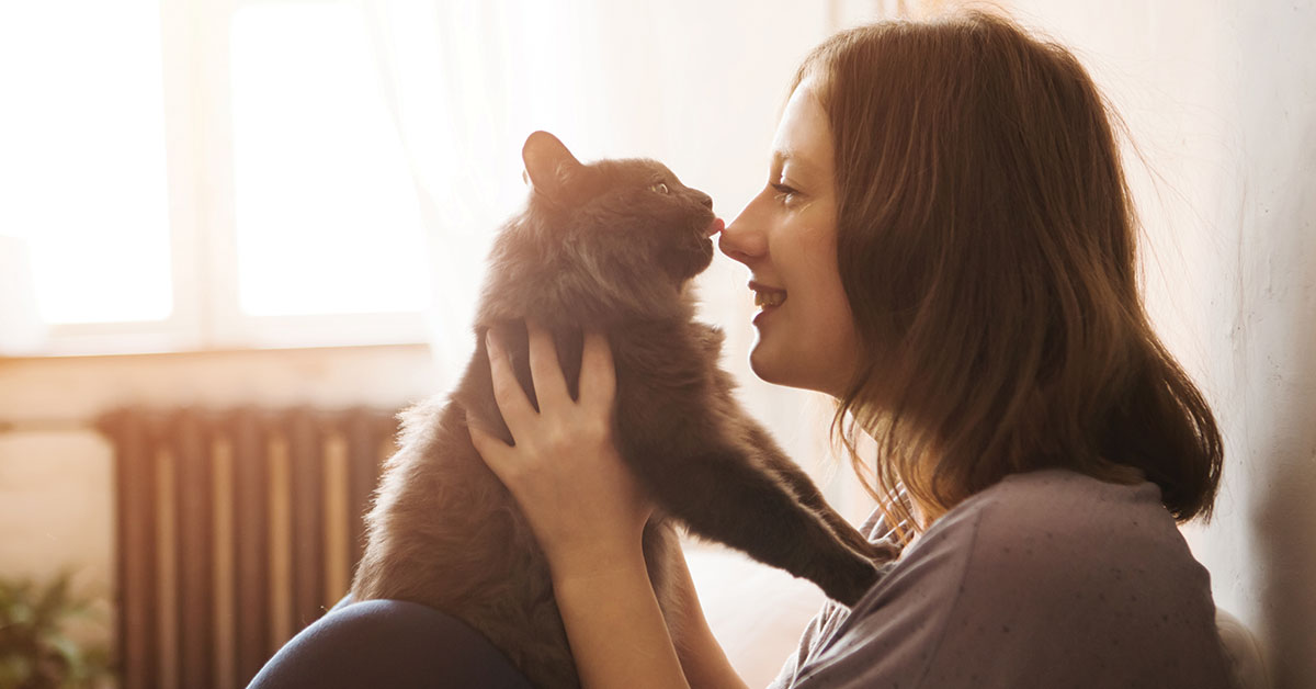 Featured image for post: Your Cat Head Bumps You Because They Love You