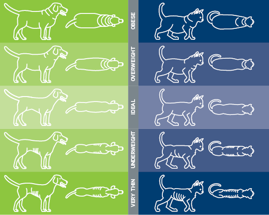 healthyweight-chart