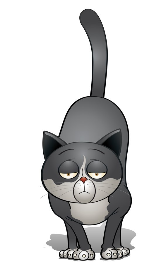 lethargic cat