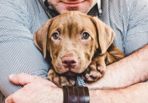 dog and chocolate
