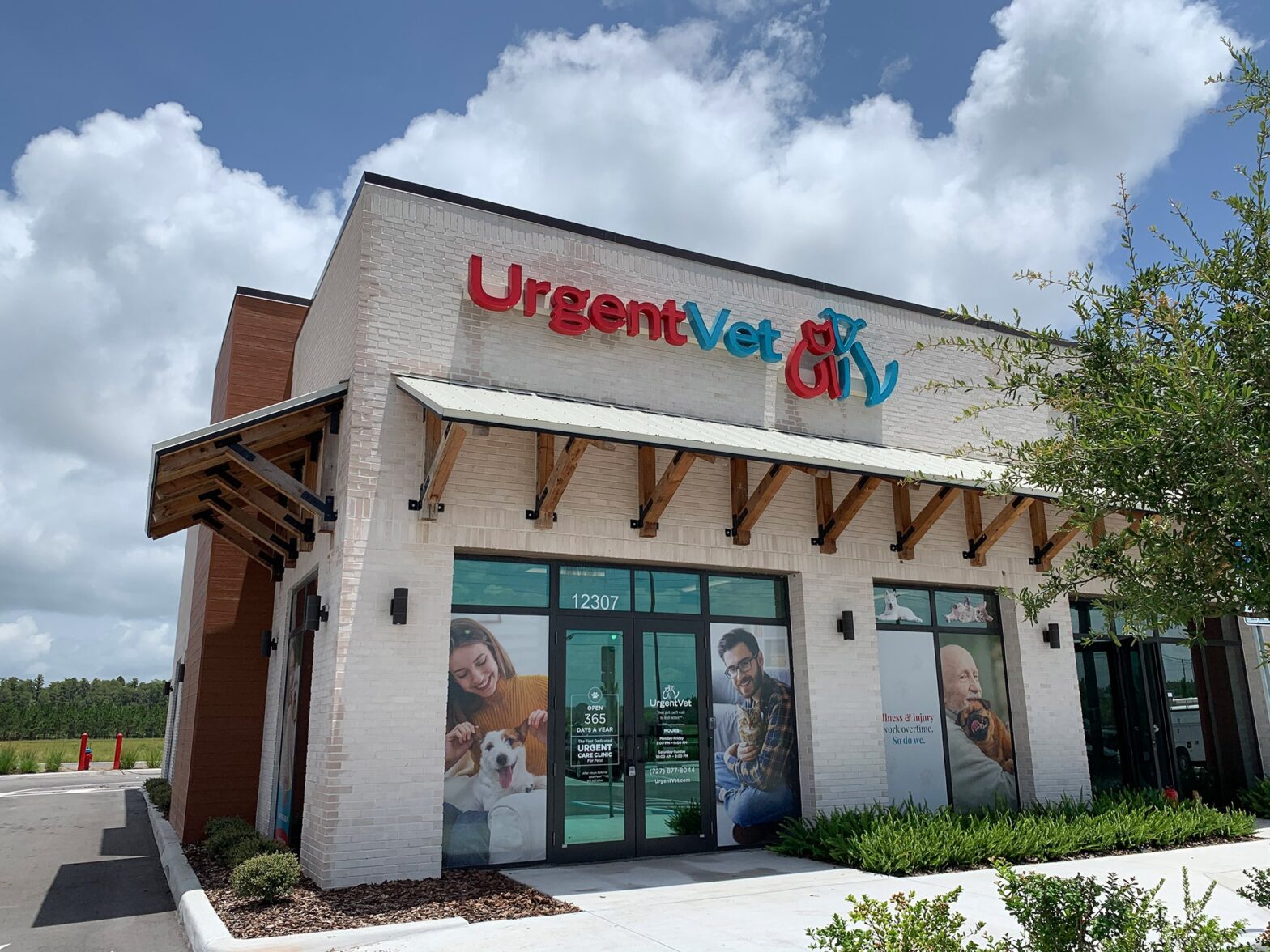 Featured image for post: New Port Richey Urgent Vet Clinic | Odessa, FL