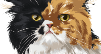 urgentvet pet clinic locations for veterinary urgent care for cats - desktop photo