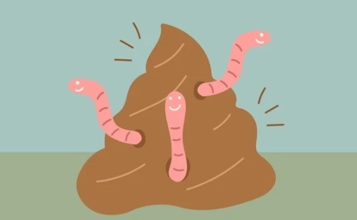 worms in dogs poop