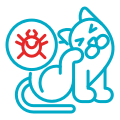 cat skin Allergies icon