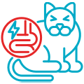 pet diarrhea and vomiting icon urgent vet services