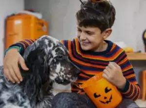 pets and candy
