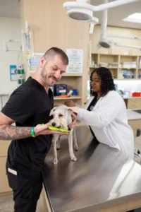 UrgentVet Care Team UrgentVet Care Team
