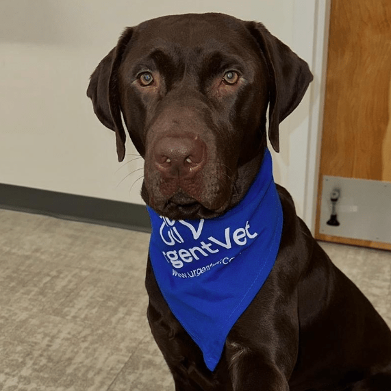 photo of Baylor
