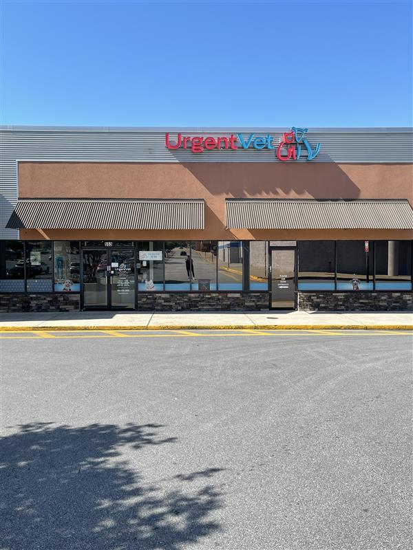 Featured image for post: Greenville Urgent Vet Clinic | Greenville, SC