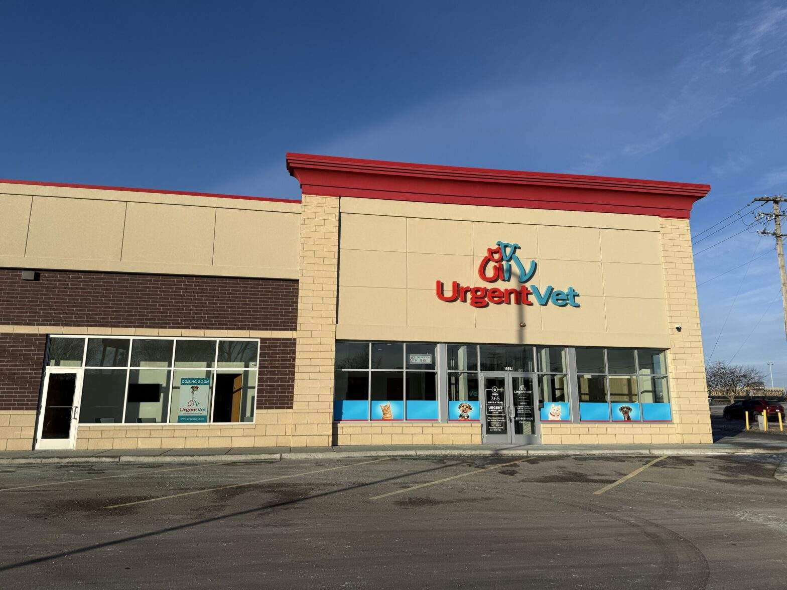 Featured image for post: Joliet Urgent Vet Clinic | Joliet, IL