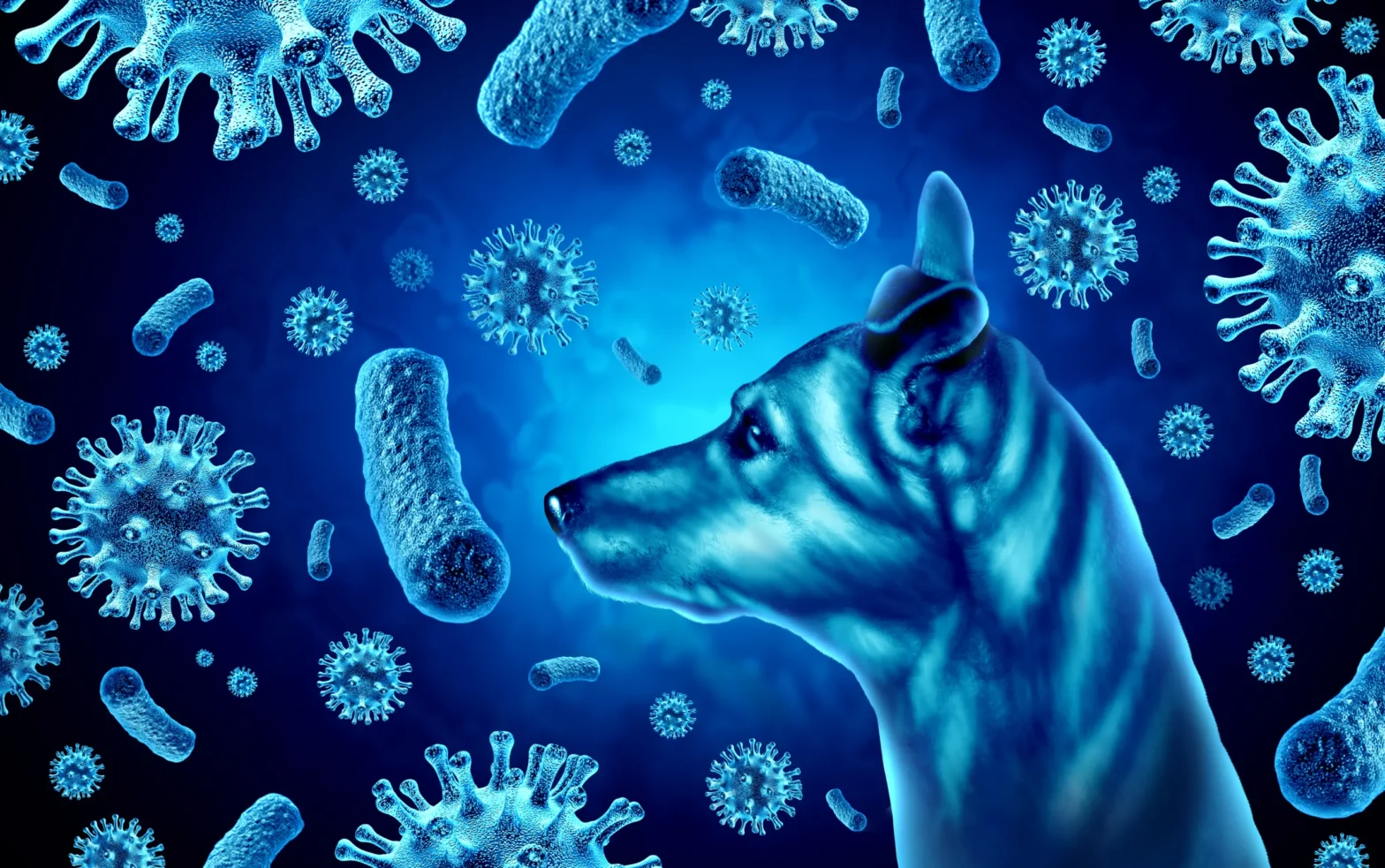 Featured image for post: What to Know About the New Mystery Dog Illness