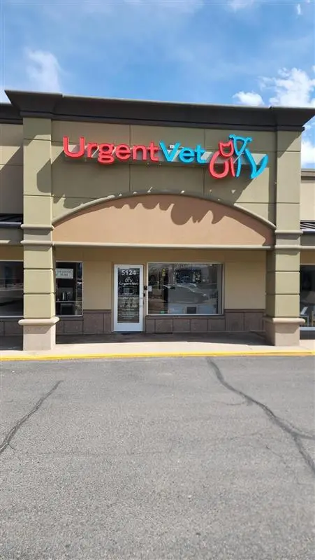 Featured image for post: Englewood Urgent Vet Clinic | Englewood, CO