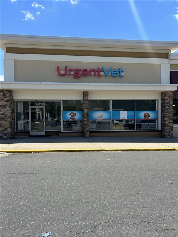 Featured image for post: Chapel Hill Urgent Vet Clinic | Chapel Hill, NC