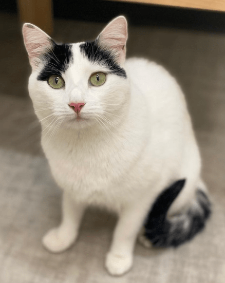 photo of Lily