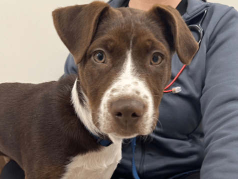 photo of Murphy