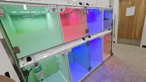 UrgentVet Casco Enclosures for Pets