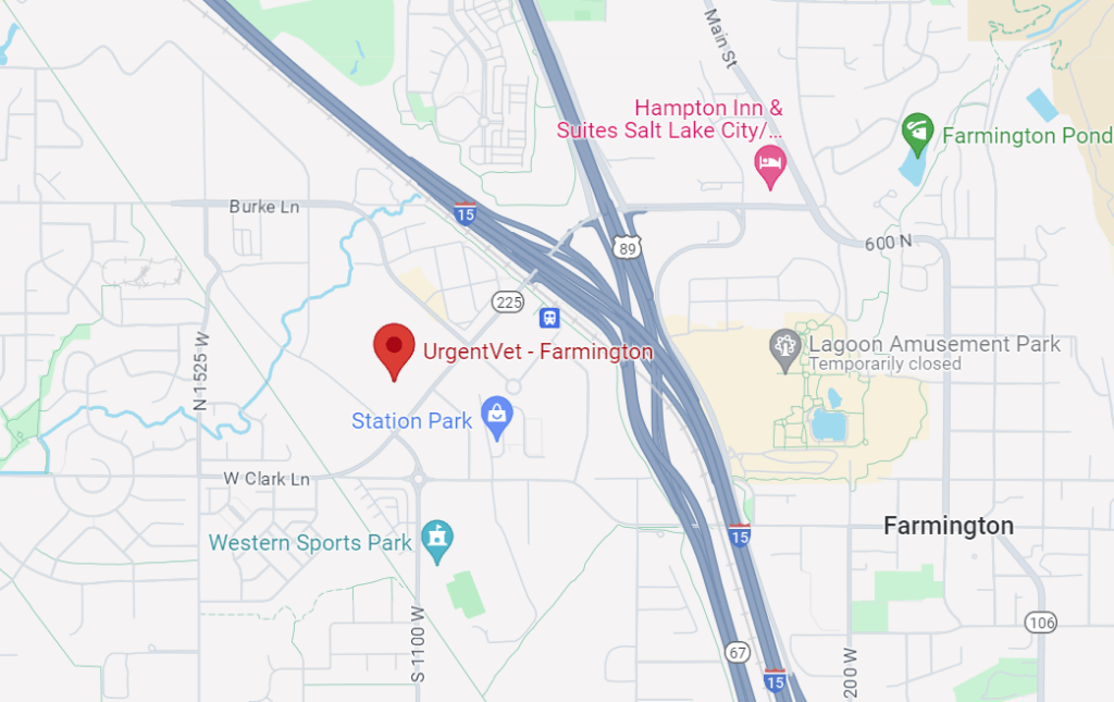 UrgentVet Farmington UT UrgentVet Farmington UT