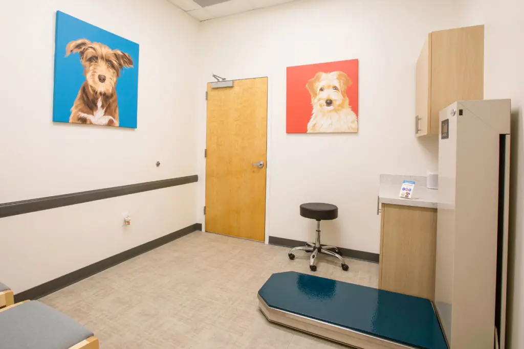 UrgentVet Large Dog Exam Room UrgentVet Large Dog Exam Room