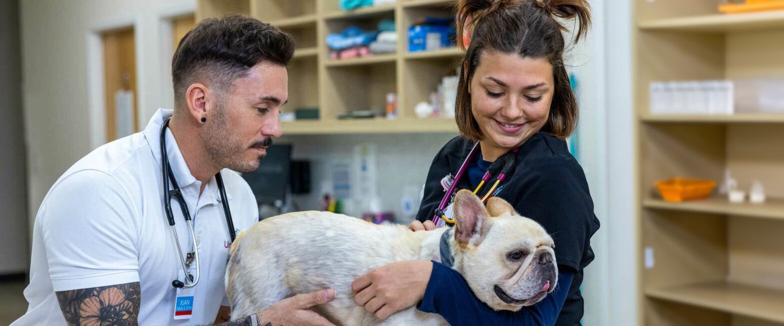 Featured image for post: After-Hours Pet Care Options In Arizona Expand With The Addition of UrgentVet Oro Valley