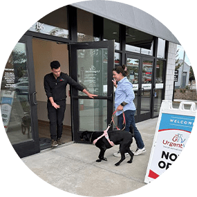 Dog Walking Into Store Step