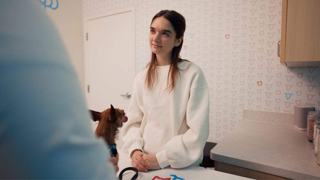 An UrgentVet team member with a cat in an exam room